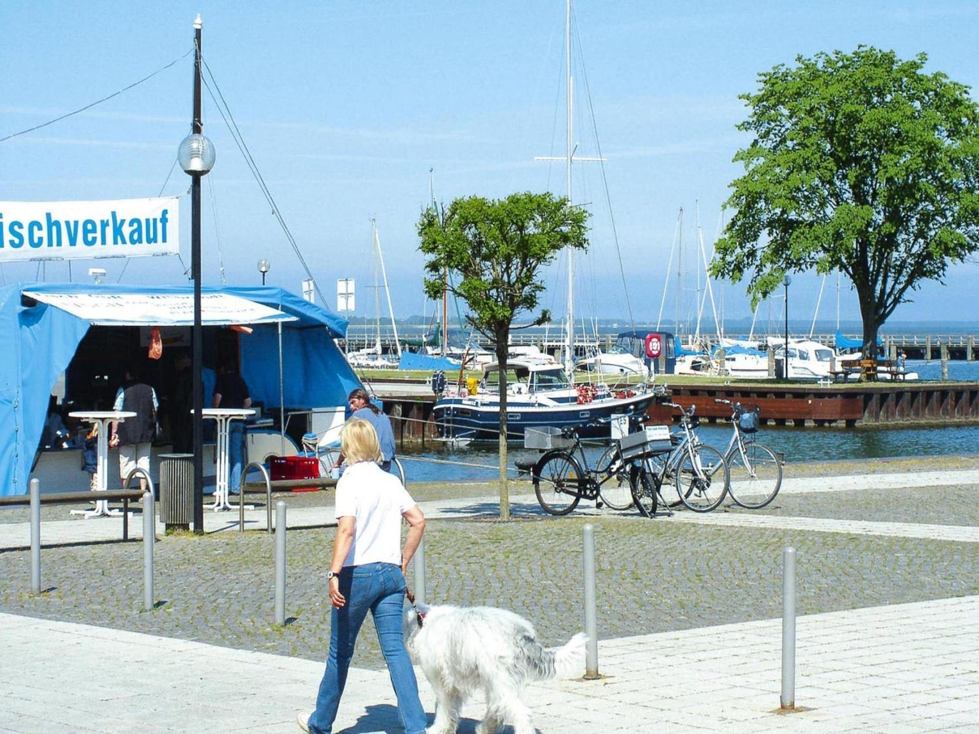 Ferienhaus In Ribnitz-Damgarten Extérieur photo